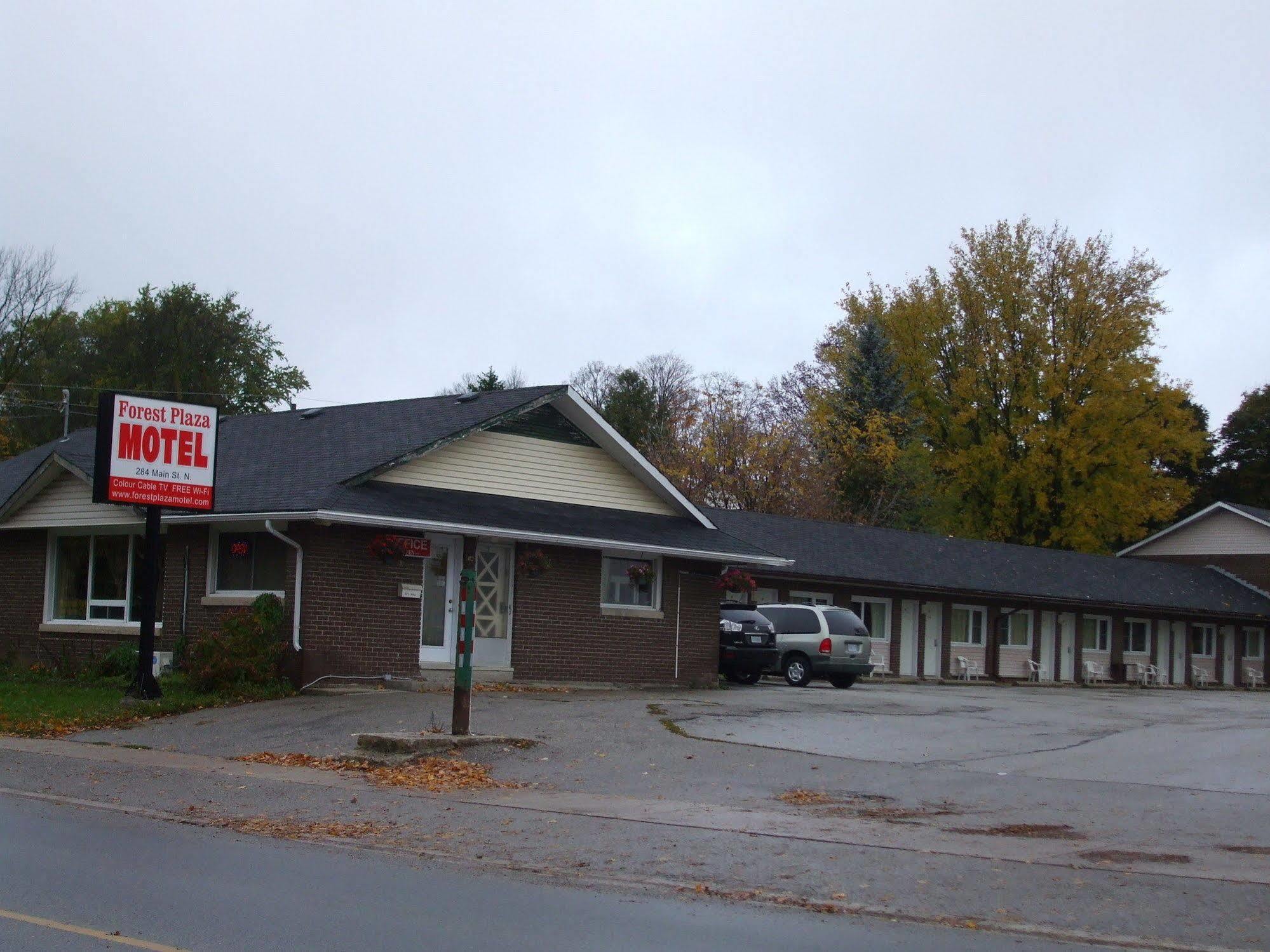 Forest Plaza Motel Mount Forest Zewnętrze zdjęcie